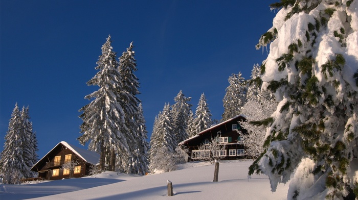 trees, mountain, snow, houses, nature