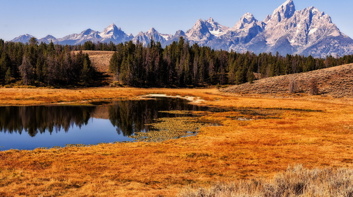 landscape, nature, mountain, field