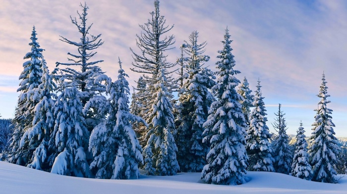 nature, sky, evening, clouds, winter, snow