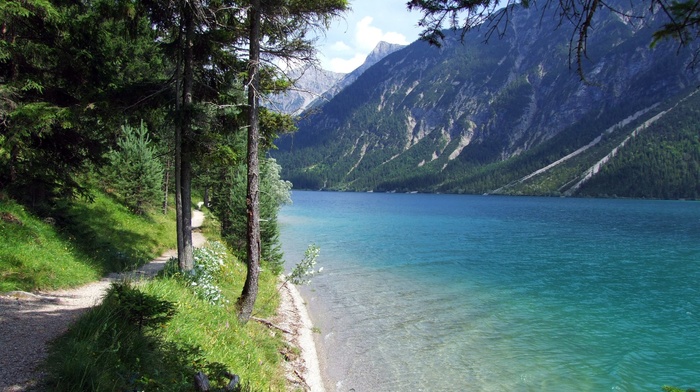 nature, water, lake, trees