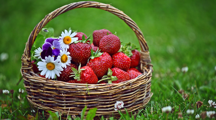 flowers, grass, strawberry, delicious