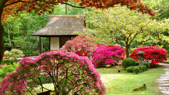 landscape, house, trees, nature