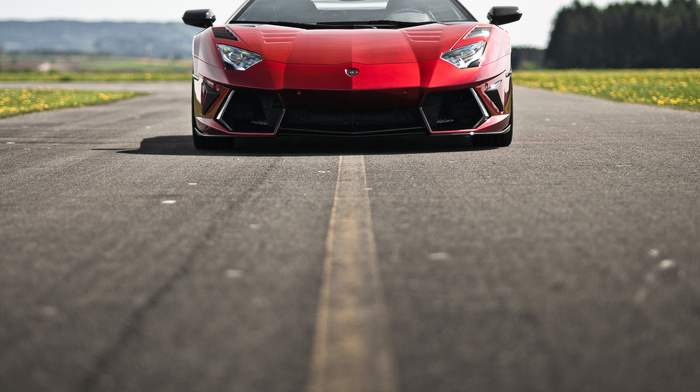 aventador, cars, Lamborghini, lamborghini