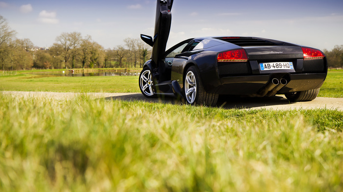 sky, spring, lamborghini, grass, cars