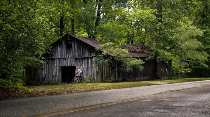 house, trees, stunner, road