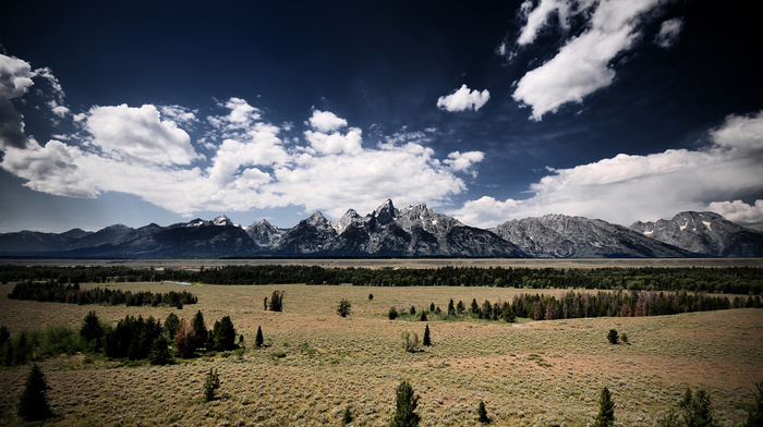 nature, field, mountain