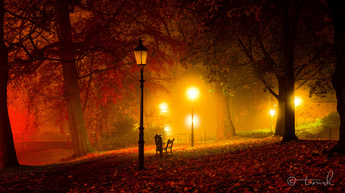 light, nature, autumn, park, night