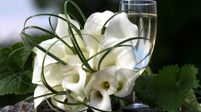 wineglass, white, flowers, color, green, leaves, bouquet