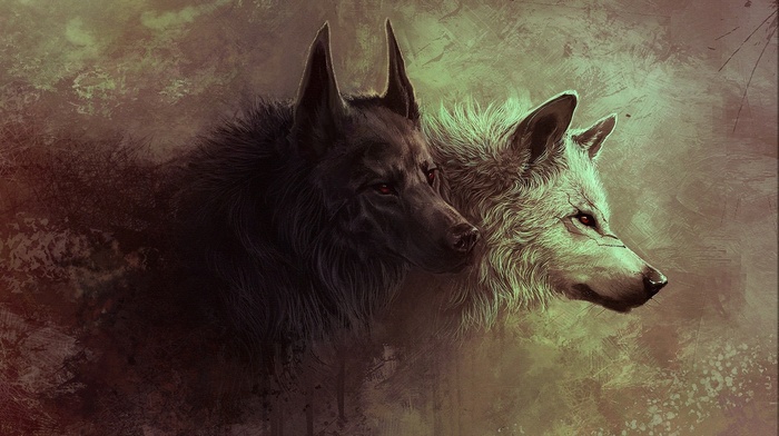 wolf, art, fantasy