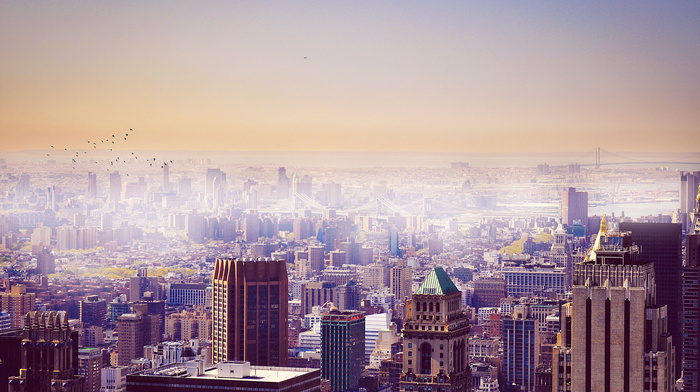 sky, city, birds, cities