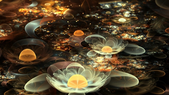 3D, flowers, abstraction