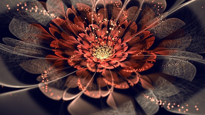 3D, abstraction, petals, art, flower