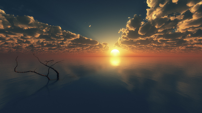 tree, 3D, horizon, sea, sunset, clouds, branch, art