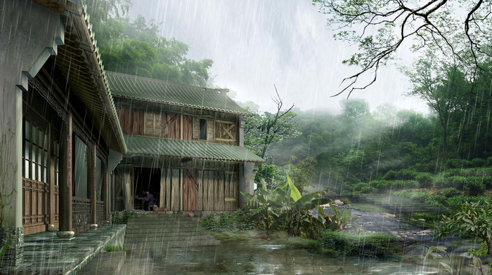 rain, jungle, summer, house