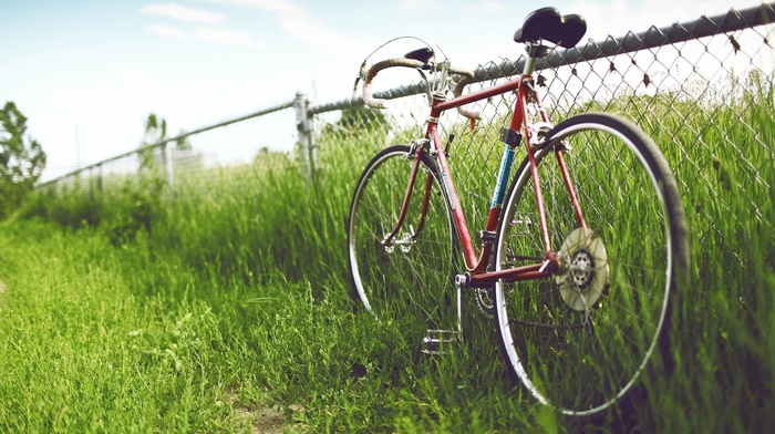 nature, fence, bicycle, grass