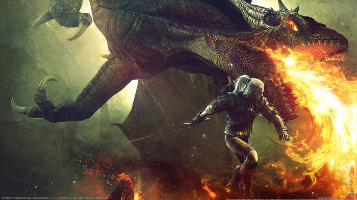 dragon, video games