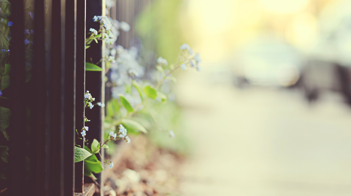 motion blur, flowers, fence