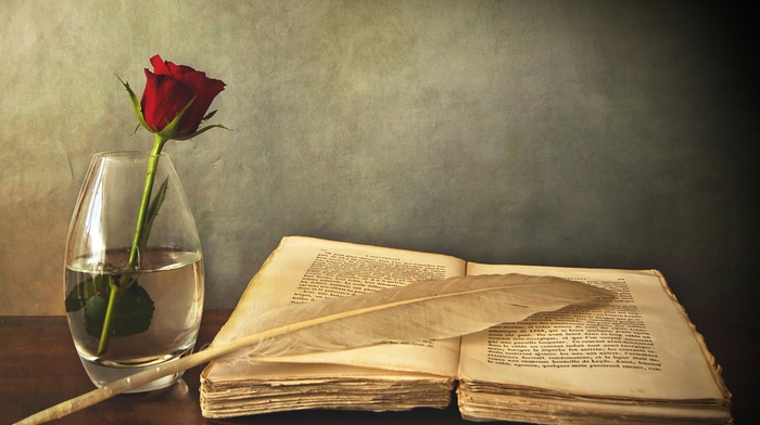 rose, vase, stunner, table, book