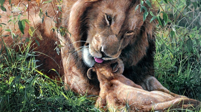 lion, art, animals