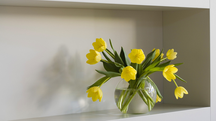 flowers, vase, tulips, water