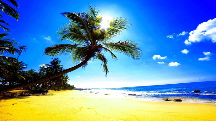 tropics, sand, highlights, beach, palm trees, summer, ocean, Sun