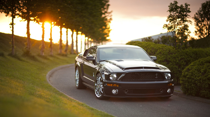 road, car, cars, mustang