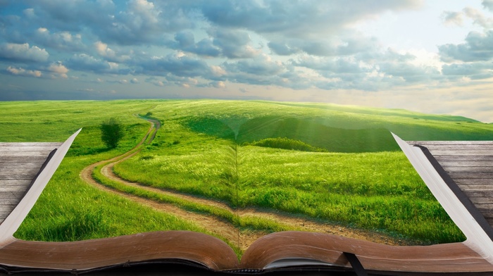 world, tree, grass, landscape, 3D, road, book