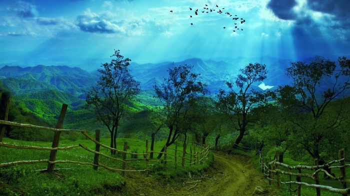 mountain, rays, nature, trees, greenery, birds, landscape, road