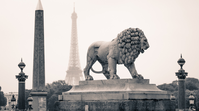 statue, lion, Paris, France, cities, city