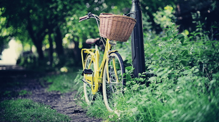 bicycle, road, stunner, park