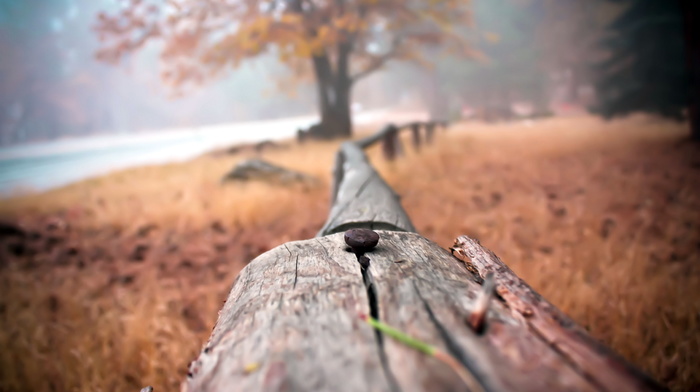 background, macro, fence