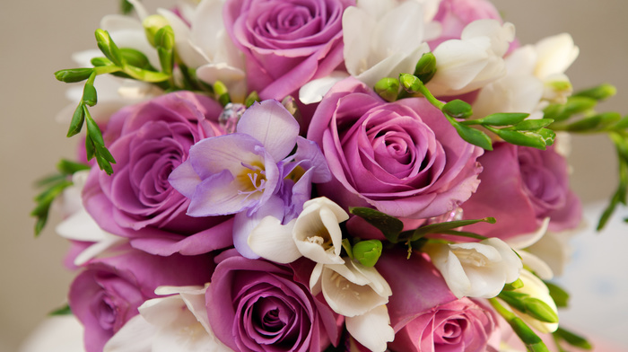 flowers, purple, roses, bouquet