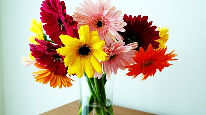 vase, flowers, bouquet