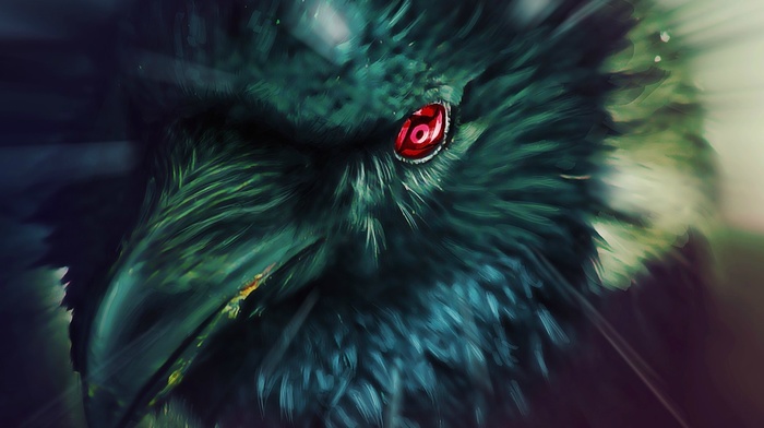 Naruto Shippuuden, anime