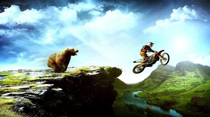 creative, bear, moto