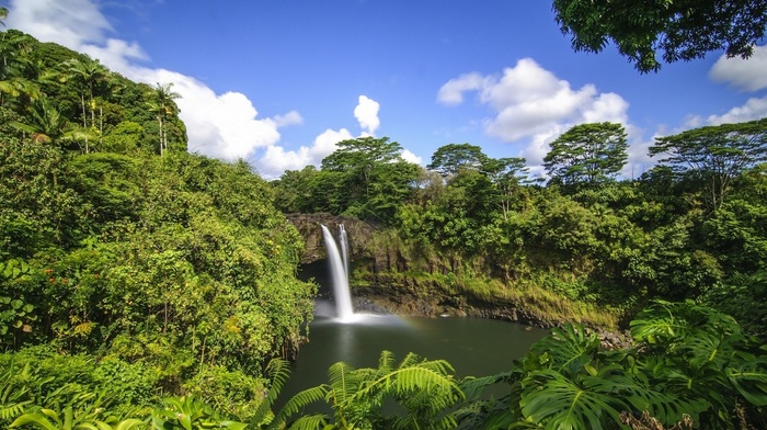 tropics, nature, waterfall