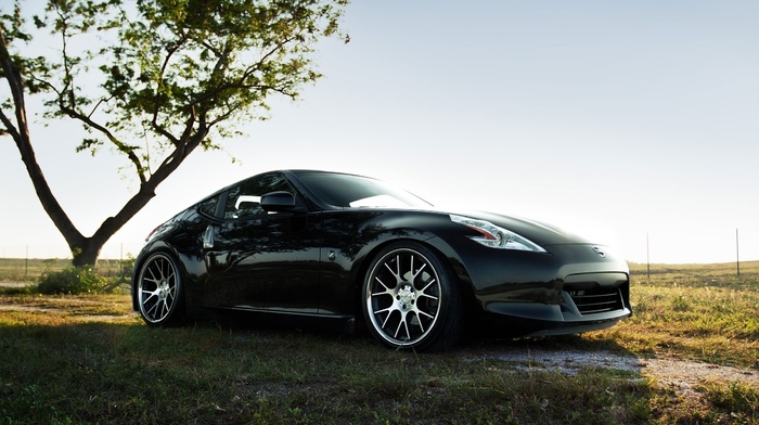 auto, nature, cars, tuning, field, tree