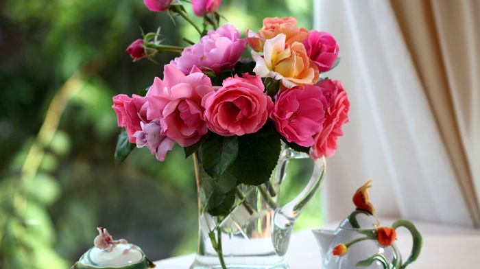 roses, flowers, vase