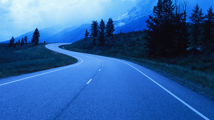 clouds, Christmas tree, mountain, trees, nature, road