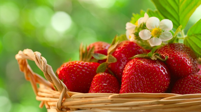 berries, strawberry, bloom, basket, delicious, macro
