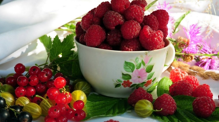 delicious, berries