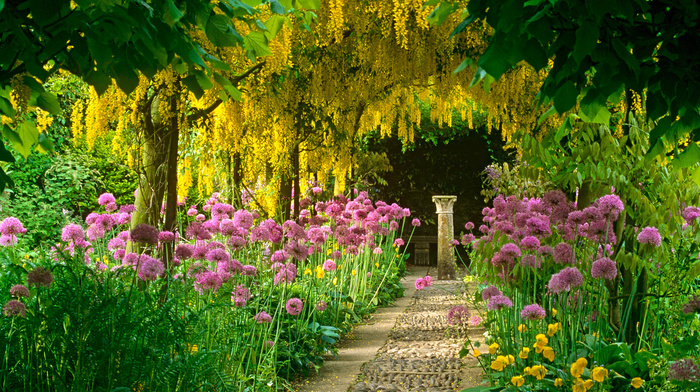 flowers, nature, runway