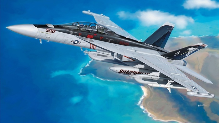 aircraft, sky