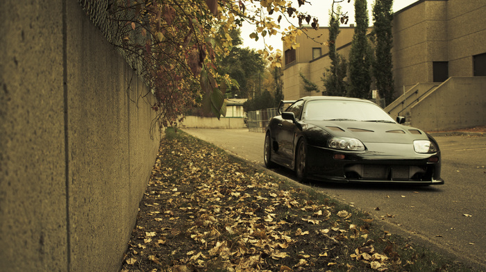 city, cars