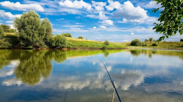 nature, fishing, water