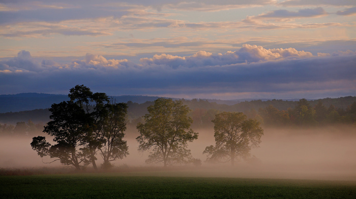 sky, clouds, trees, nature, mist