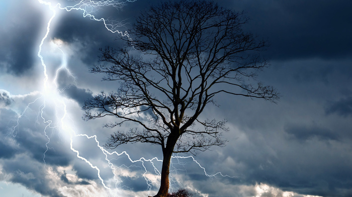 stunner, tree, nature, lightning