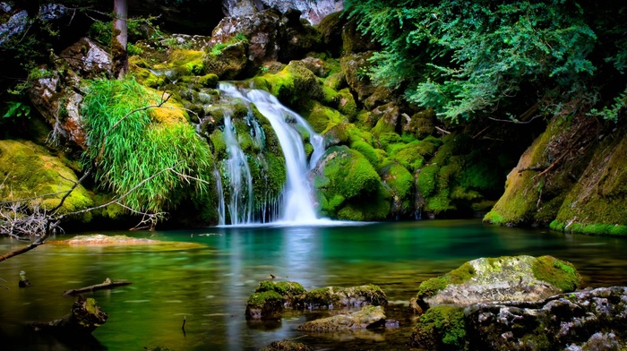 greenery, stones, nature, water, waterfall