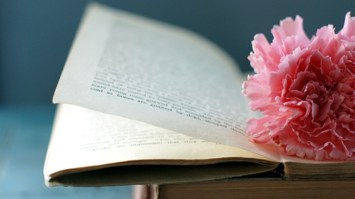 flower, macro, book
