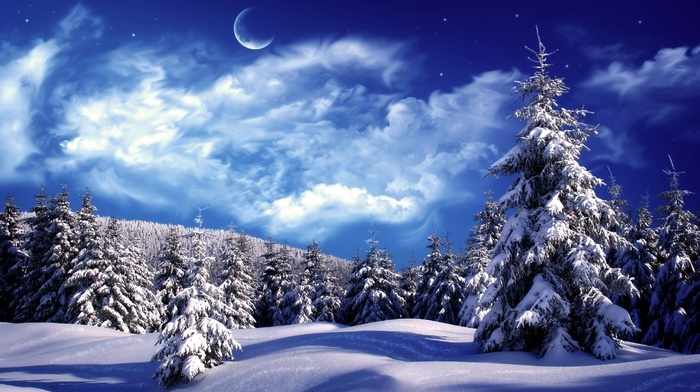 snow, winter
